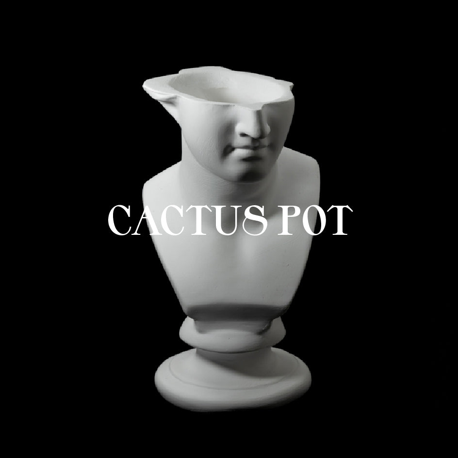 CACTUS POT/鉢 – emeth