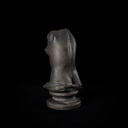 F.Venus［金山焼］灰