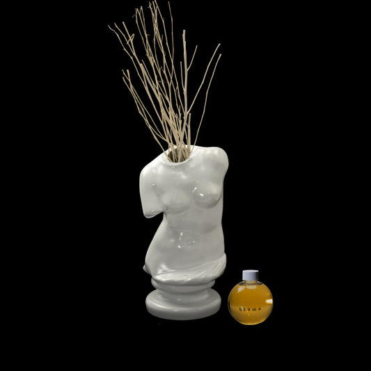F.Venus［瀬戸焼］白 - DIFFUSER KIT