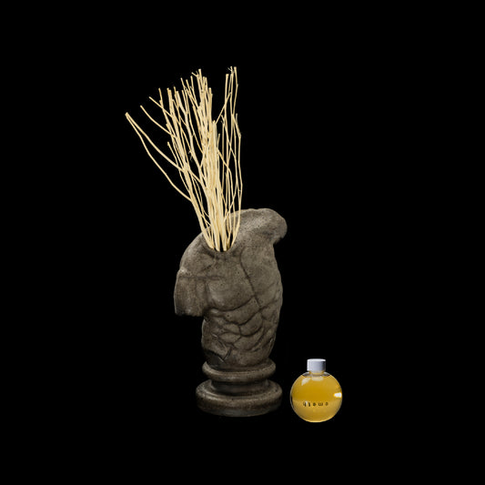 SATYR［金山焼］灰 - DIFFUSER KIT